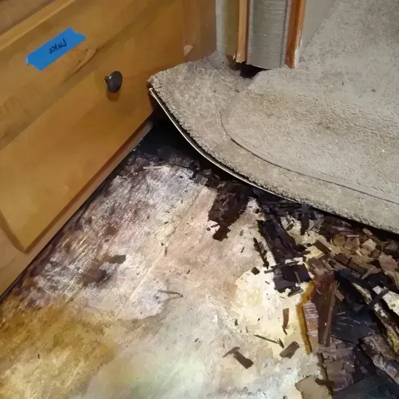 Best Wood Floor Water Damage Service in Raymond, ME